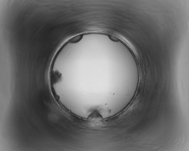 X0000099481291200805090826