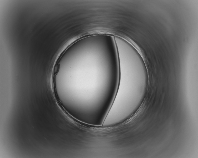 X0000099481293200805090826