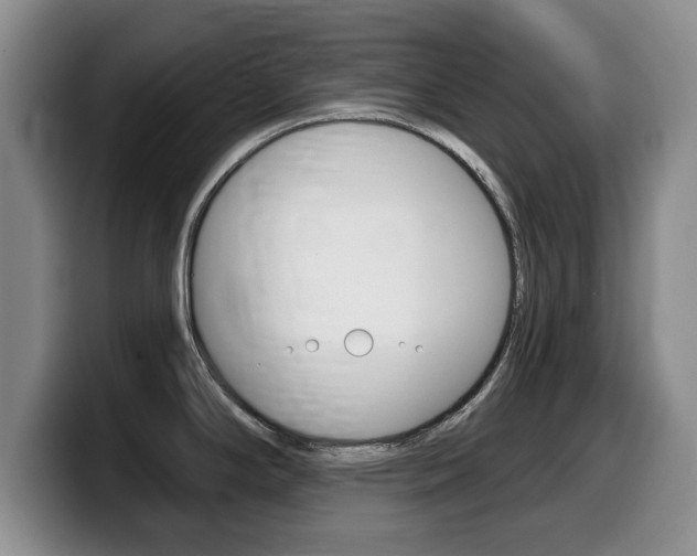 X0000099481294200805090826
