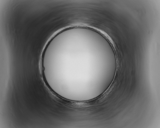 X0000099481295200805090826