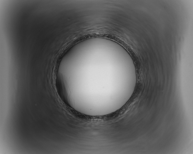 X0000099481297200805090825