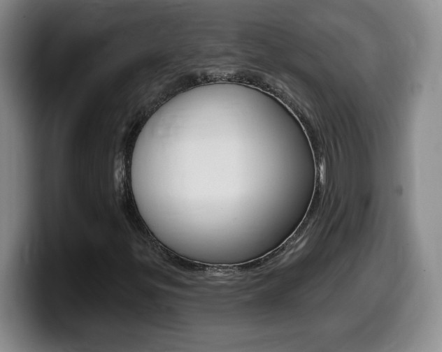 X0000099481299200805090825