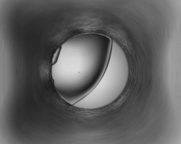 X0000099481300200805090825