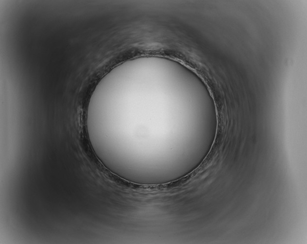 X0000099481301200805090825