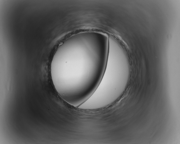 X0000099481304200805090825