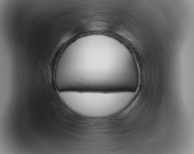 X0000099481306200805090825