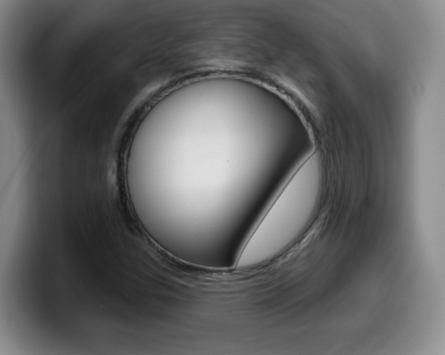 X0000099481307200805090825