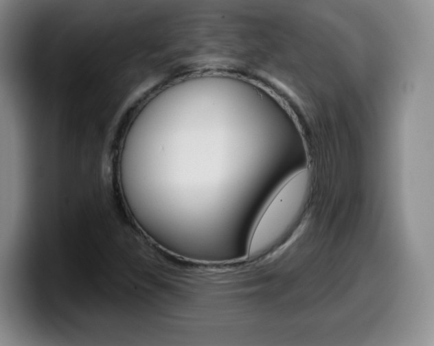 X0000099481309200805090825