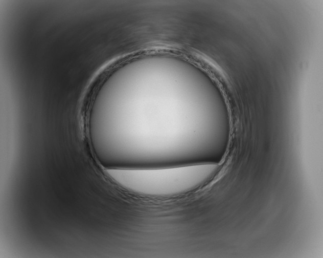X0000099481310200805090825