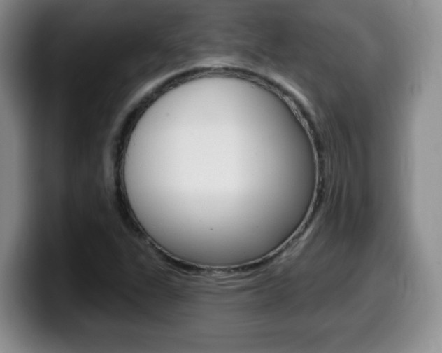 X0000099481311200805090825