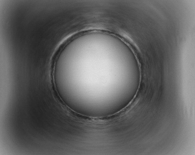 X0000099481312200805090825