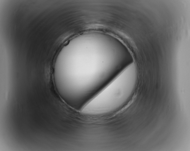 X0000099481313200805090825