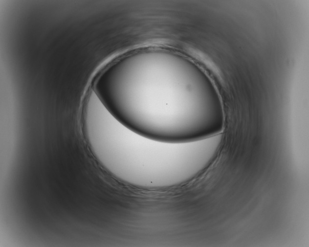 X0000099481316200805090825