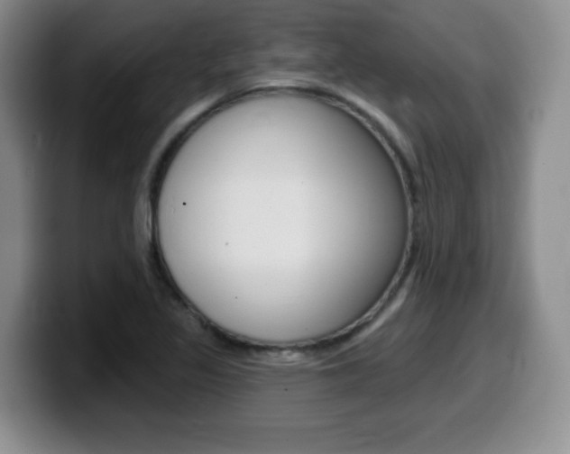X0000099481317200805090825
