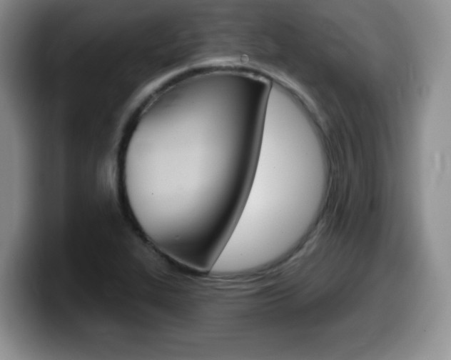 X0000099481319200805090825