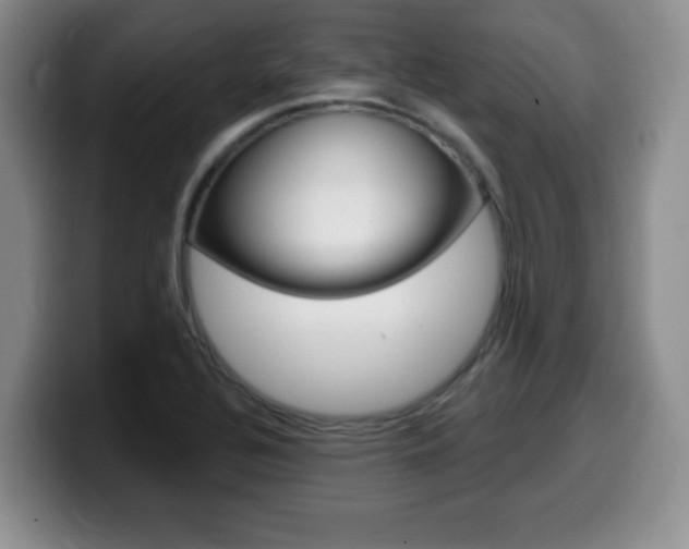 X0000099481320200805090825