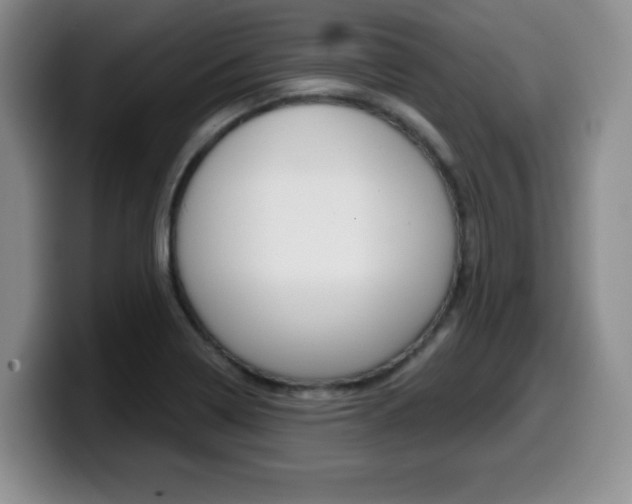 X0000099481322200805090825