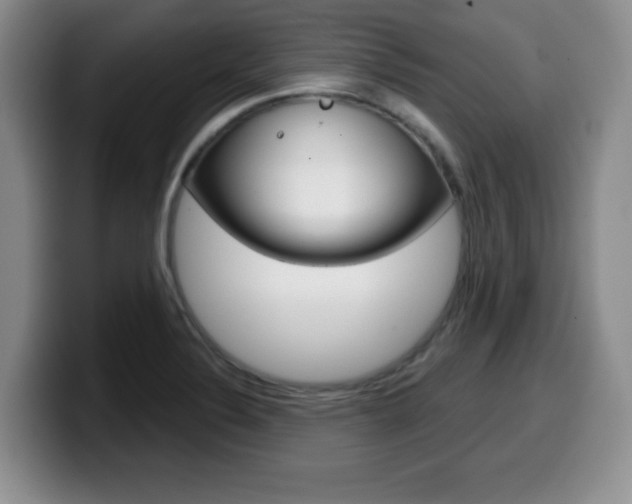 X0000099481324200805090825