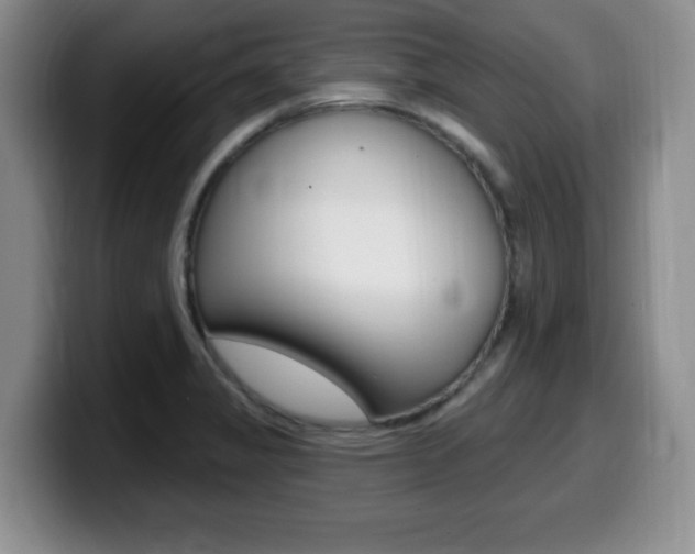X0000099481325200805090825
