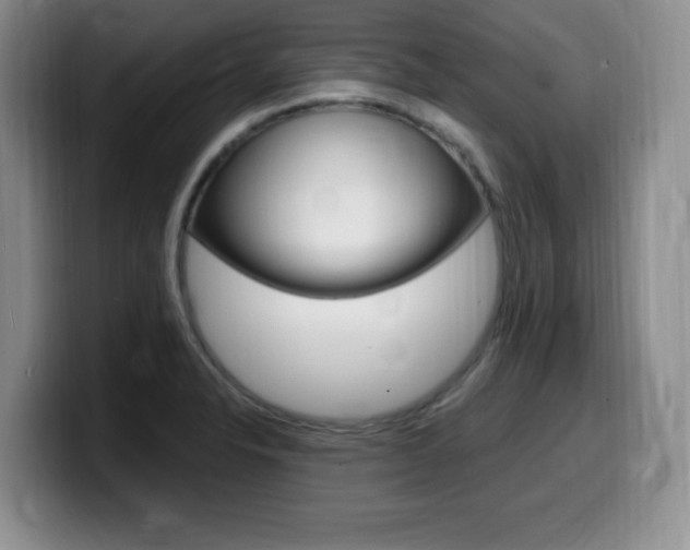X0000099481326200805090825