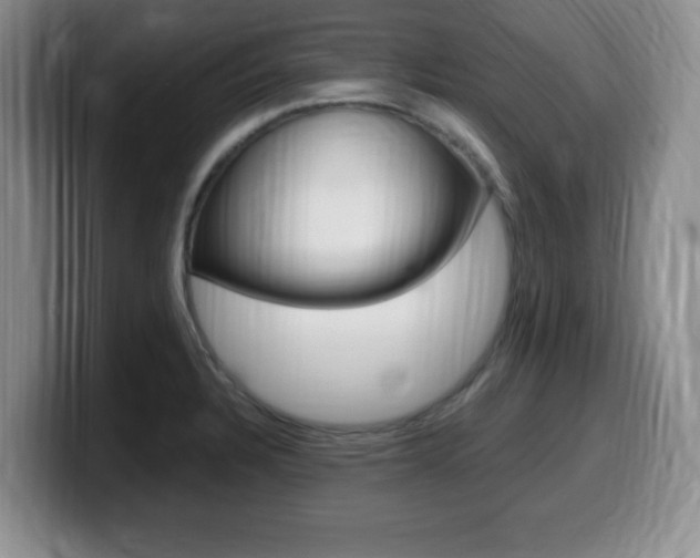 X0000099481328200805090825