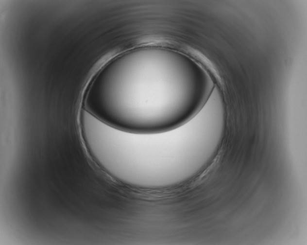 X0000099481330200805090825