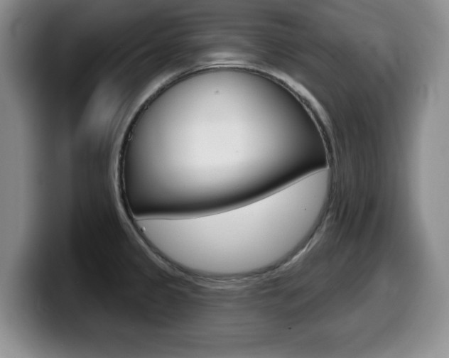 X0000099481333200805090825