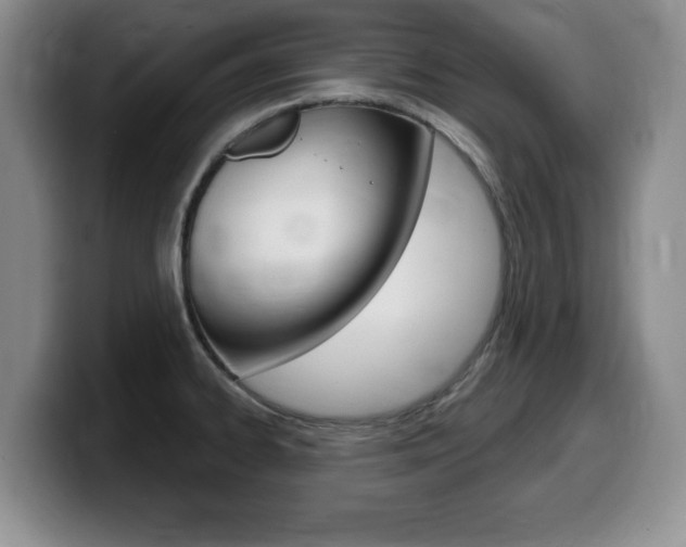 X0000099481334200805090826