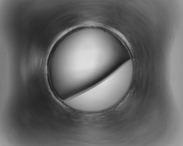 X0000099481335200805090826
