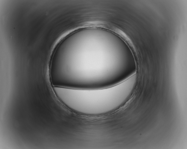 X0000099481336200805090826