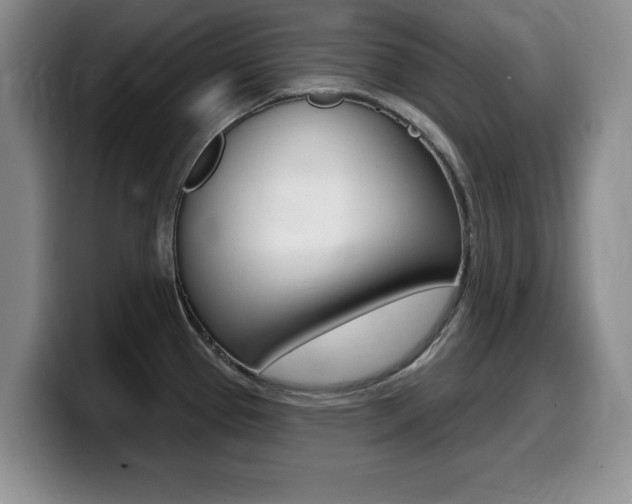 X0000099481337200805090826