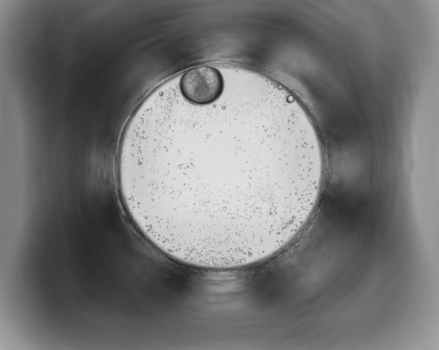 X0000099481338200805090826