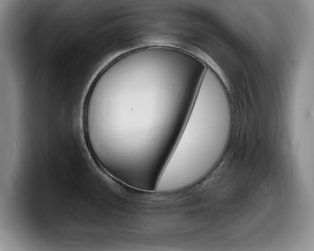 X0000099481339200805090826