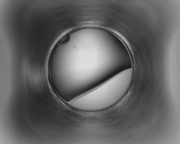 X0000099481341200805090826