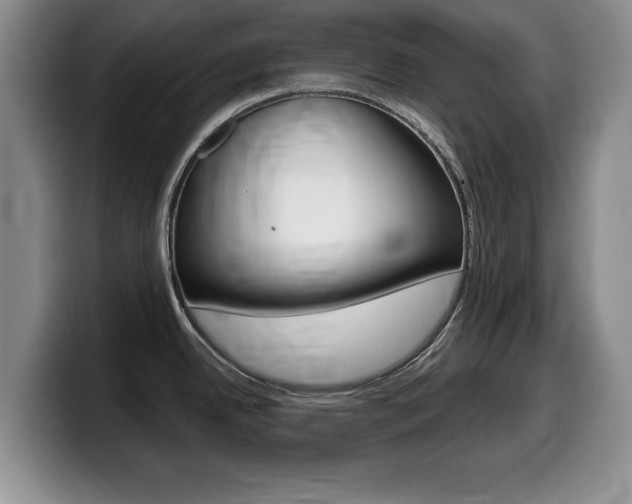 X0000099481342200805090826