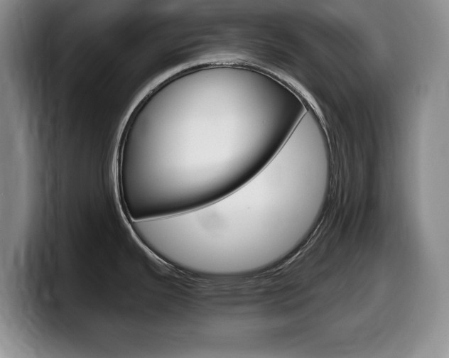X0000099481343200805090826