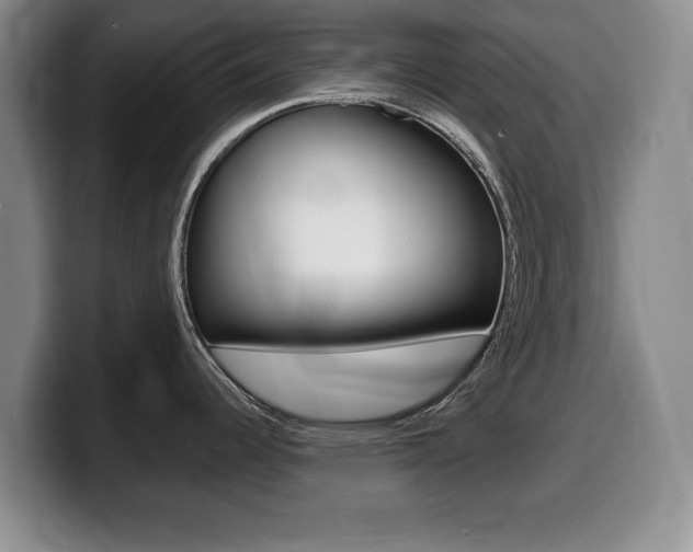 X0000099481344200805090826