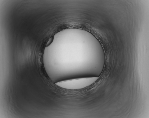 X0000099481346200805090825