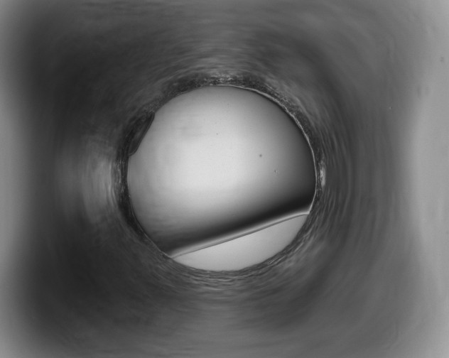 X0000099481347200805090825