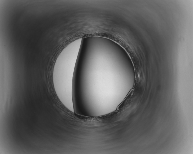 X0000099481348200805090825