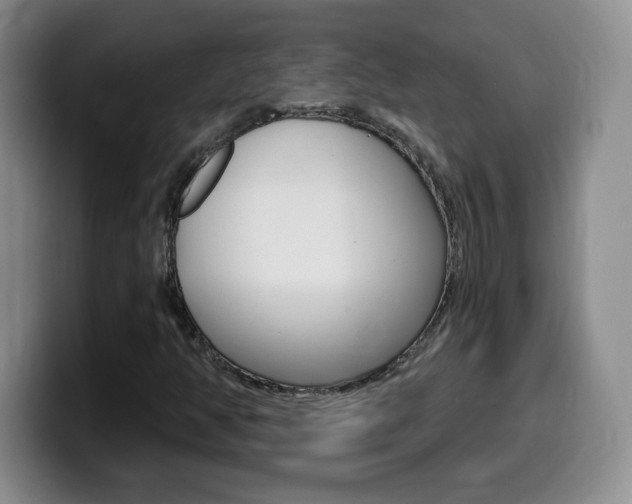 X0000099481350200805090825