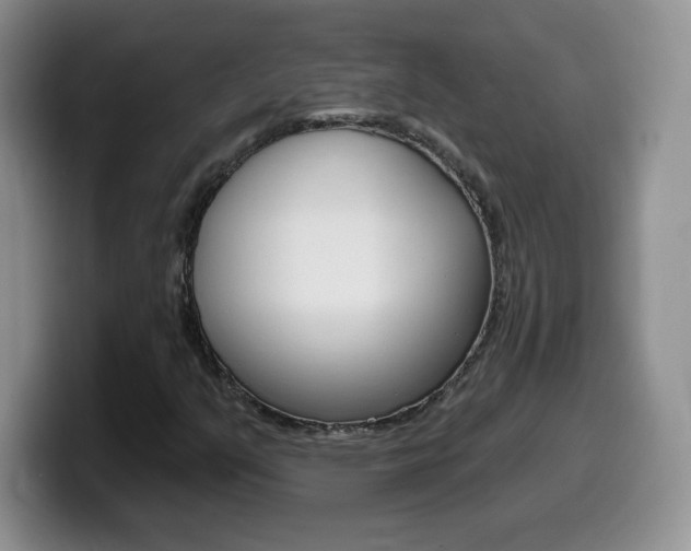 X0000099481351200805090825