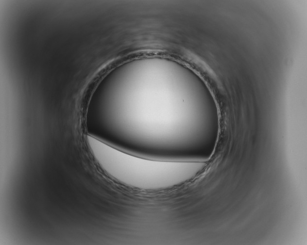 X0000099481352200805090825