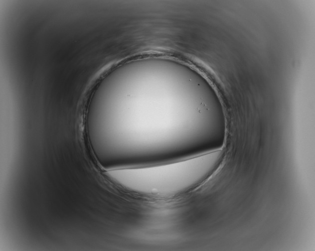 X0000099481355200805090825