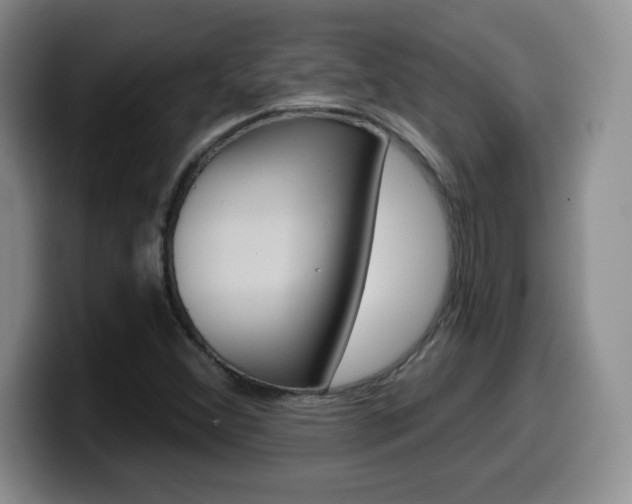 X0000099481356200805090825