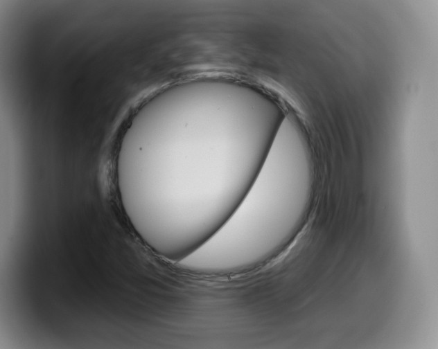 X0000099481357200805090825
