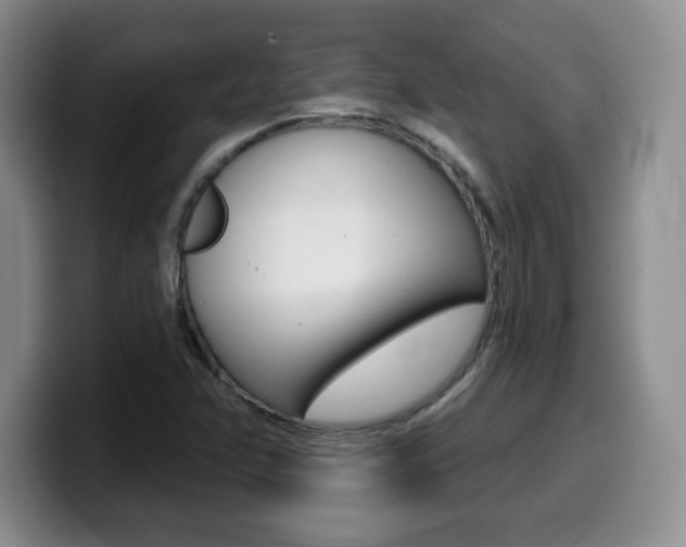 X0000099481358200805090825