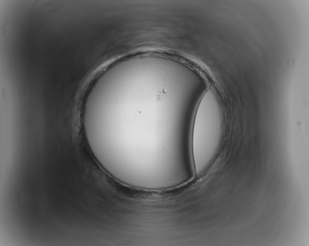 X0000099481359200805090825