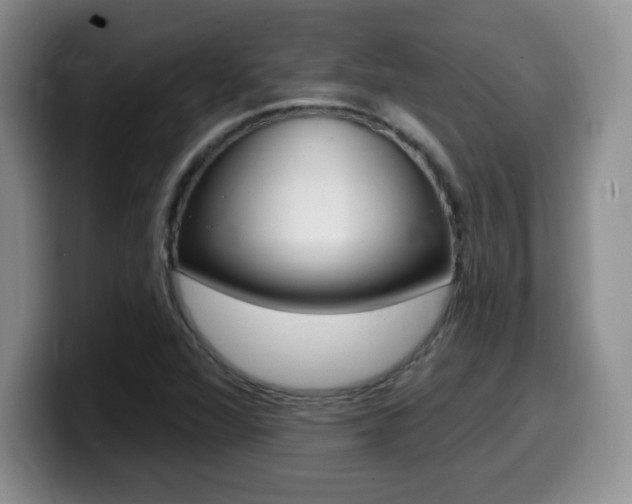 X0000099481360200805090825