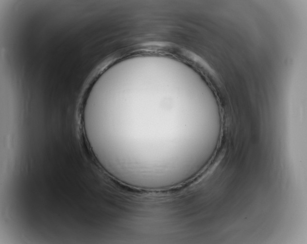 X0000099481362200805090825
